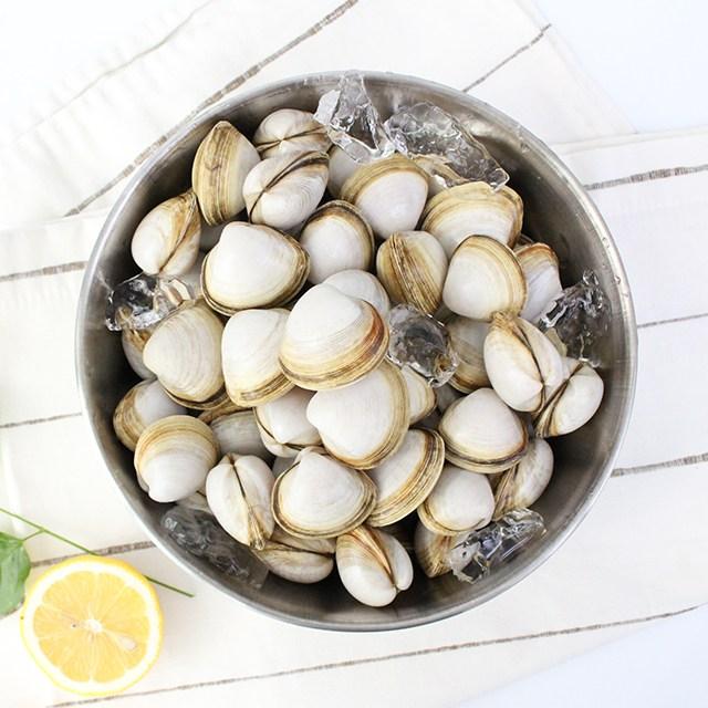 해감발송 서해안 동죽(물총조개) 1kg/2kg, 동죽 1kg