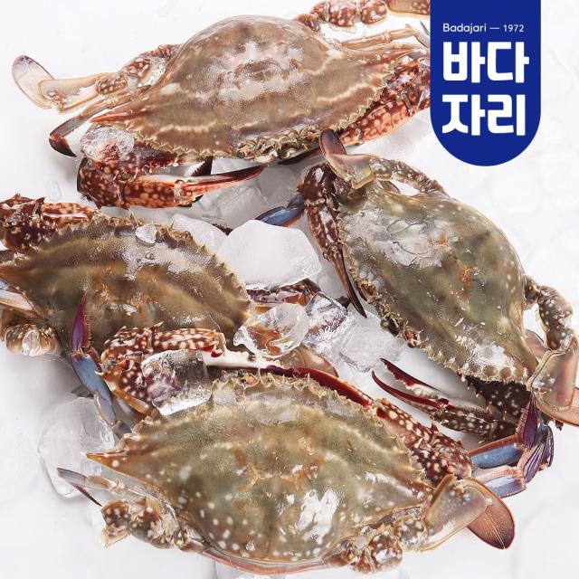 서해안 산지직송 가을 제철 생물 햇꽃게 1kg 빙장포장 냉동꽃게