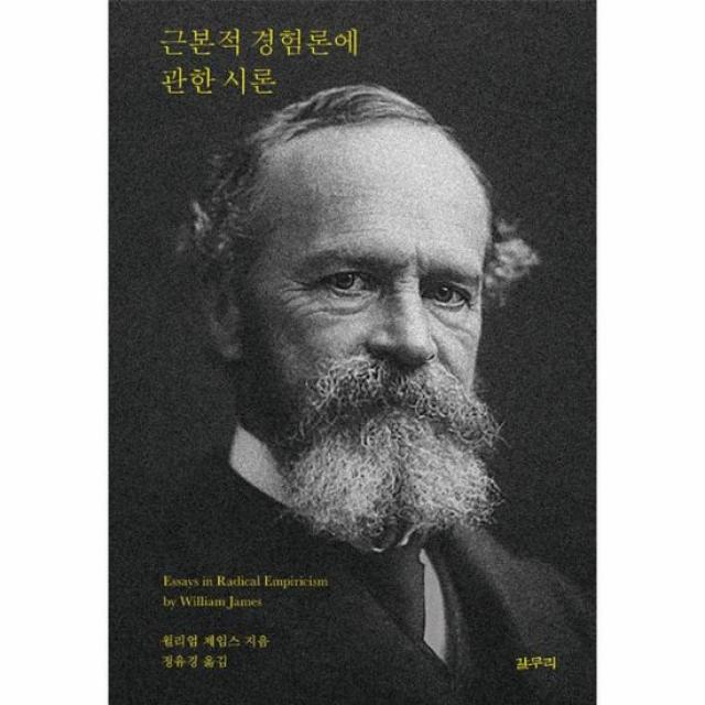 근본적 경험론에 관한 시론 49 카이로스총서