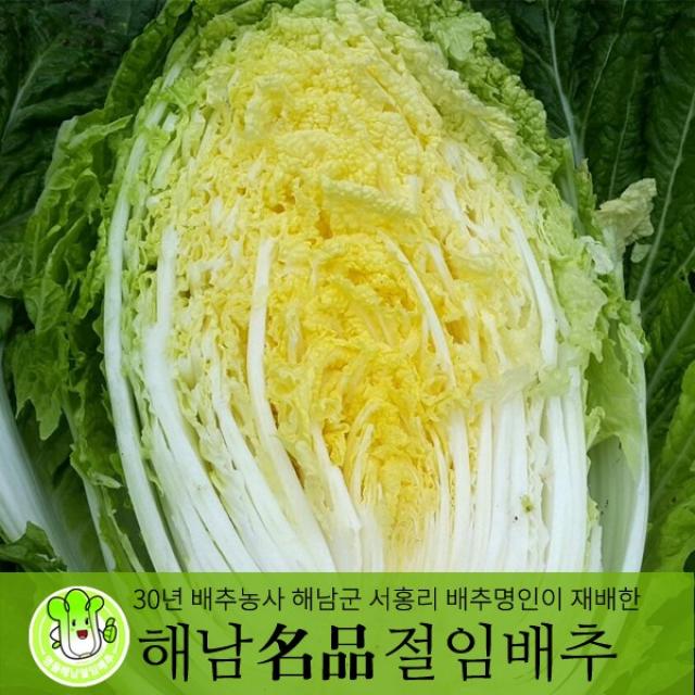 (산지직송) 청정해남산 해남절임배추 20kg (GAP인증), 11월26일(토)도착, 20kg