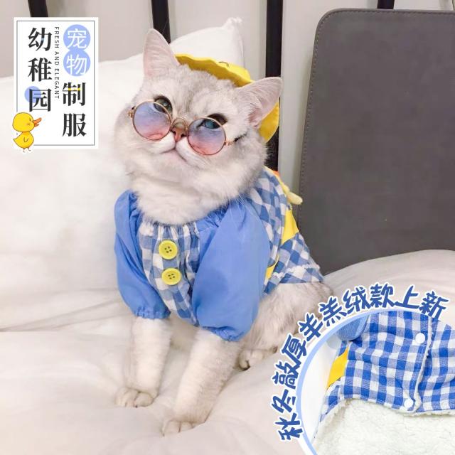 애완 동물 새끼 오리 유치원 의류 모자 강아지 옷 봄 / 여름 테디 고양이 작은 개는 곰보다 더 아름답습, 캐시미어 두꺼운 수트