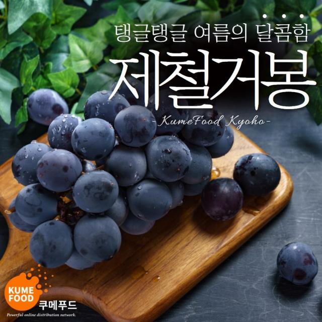  에어셀 포장 쿠메푸드 초고당도 거봉 씨없는 포도 국산 거봉 2kg 내외