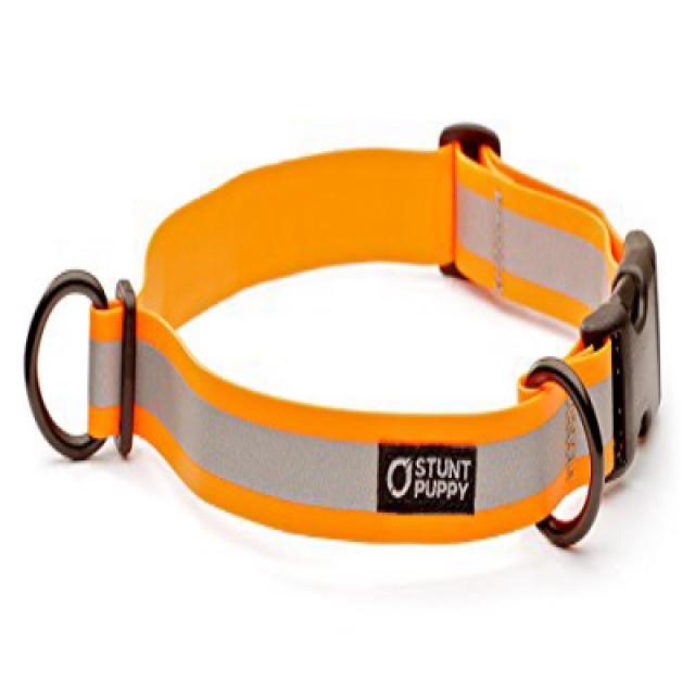 Stunt Puppy Go Dog Glo Dry Dog Collar Orange 스턴트 퍼피 고독 글로 드라이 도그 칼라 오렌지, 1