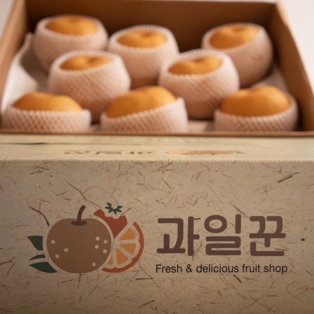 과일꾼 믿고먹는 나주배, 1box, 5kg 10-11과(가정용)