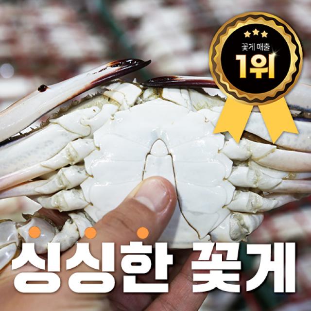 새벽조업 제철 가을 활 숫꽃게 빙장포장 1kg 외