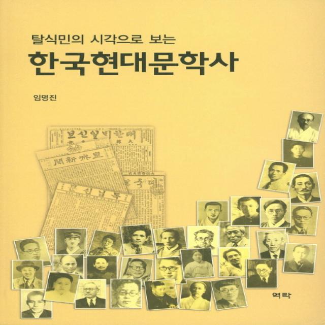 탈식민의 시각으로 보는 한국현대문학사, 역락