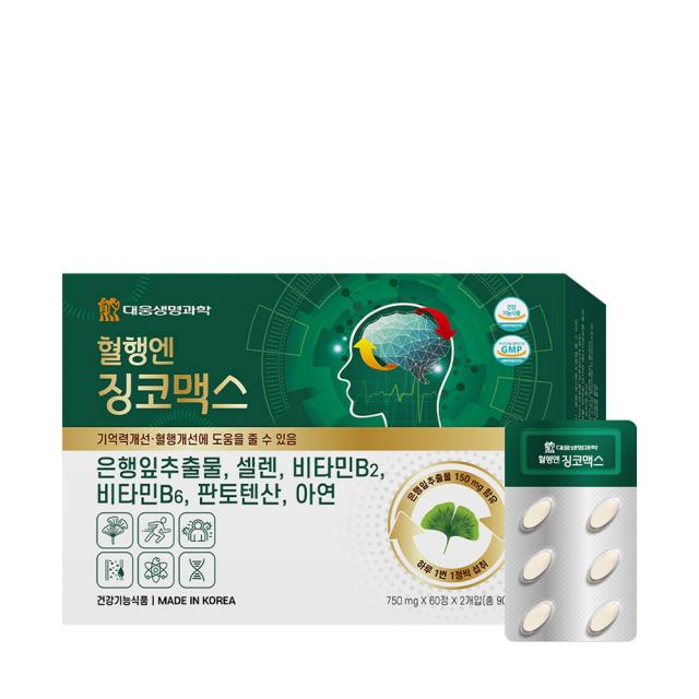 대웅생명과학 혈행엔 징코맥스 120정 1개