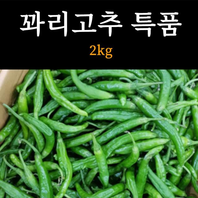 국내산 햇 꽈리고추 고추 못난이 가정용 특품 1kg, 1box, 꽈리고추 특품 - 2kg