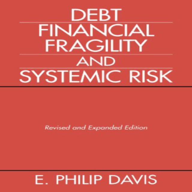 Debt Financial Fragility and Systemic Risk 부채 재정적 취약성 및 체계적 위험, 1