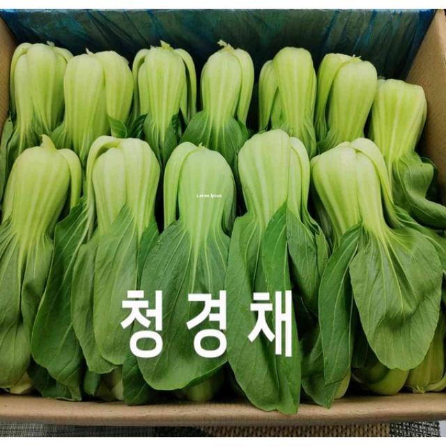 청경채 국내산 청경채 못난이 상 4kg 내외 야채맘, 단일상품