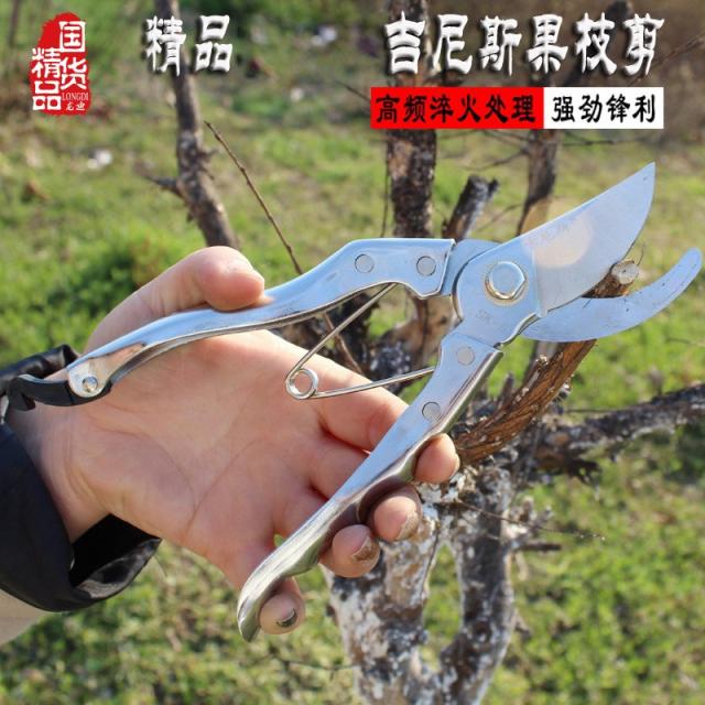 핸들스틱 원림 도구 가위다 칼 쉽지 않다 스텐 실버화이트 기네스 가지치기 3496849337, 기네스 쉽지 않다 스텐 과지가위 12