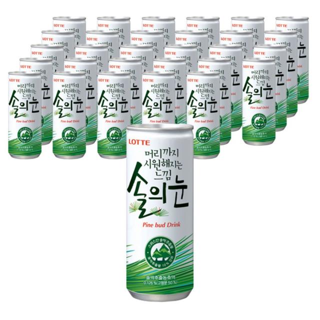 롯데칠성음료 머리까지 시원해지는 느낌 솔의눈, 60개, 240ml