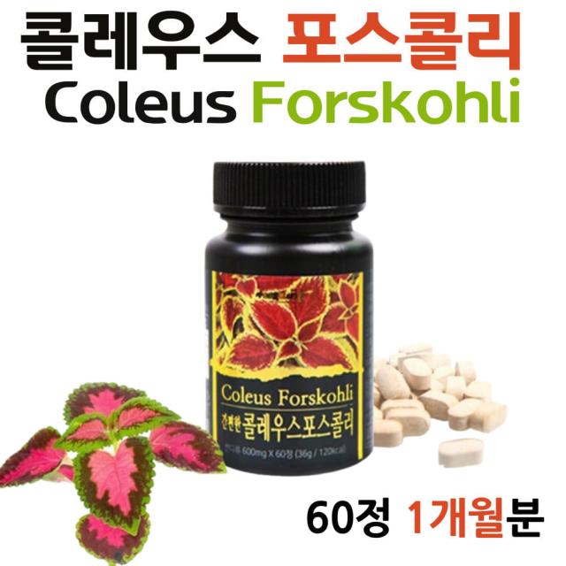 40대 50대 콜레우스 포스콜리 포스콜린 분말 60정 20대 30대 중년 남성 남자 여성 여자 예비신부 forskohli 간편한 먹기편한 고함량 홈쇼핑 브랜드 쇼핑몰 부작용 추출물