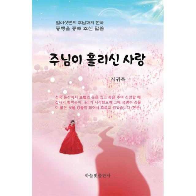 주님이 흘리신 사랑:열여섯번의 주님과의 천국 동행을 통해 주신 말씀, 하늘빛출판사