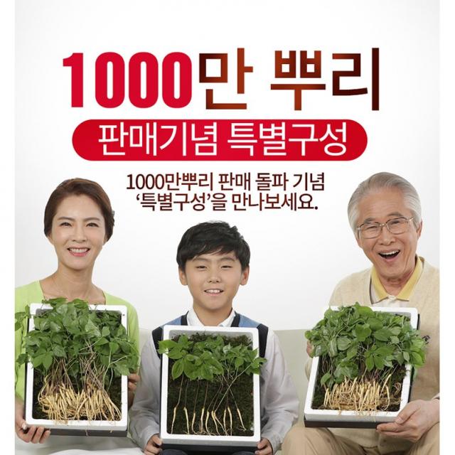 산지직송 명품 청유담 새싹삼 뿌리부터 잎까지 통째로 먹을수있는 산삼 인삼 뿌리삼 인삼/수삼/장뇌삼 100%국산, 50뿌리