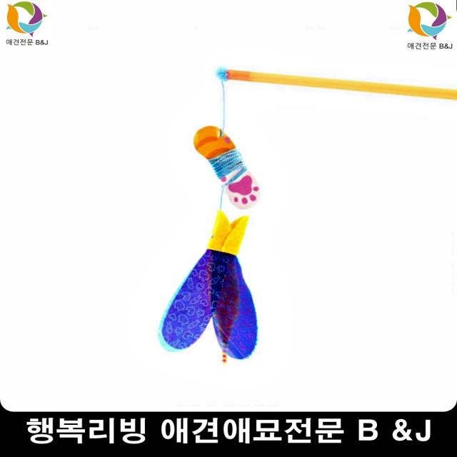 눈더러운관리필수애완동물세정제 푸들눈물 애견눈물 펫안구세정제, 1개, 1개