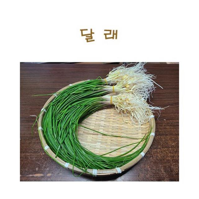 #가락시장 나물이네# 당일경매 달래 200g (달래의지존 서산달래가 갑니다^^)/오후2시이전주문당일출고/주말,공휴일제외, 200g