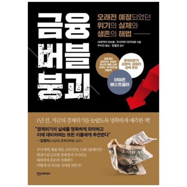 [가을책방] [한스미디어] 금융 버블 붕괴 오래전 예정되었던 위