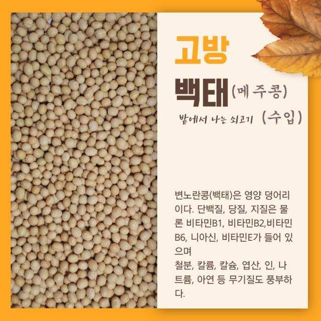 고방 수입 . 백태(메주콩) 10kg 2019년산 무료배송, 1개