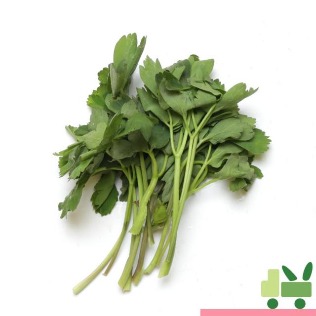 사라상회 방풍나물 4kg