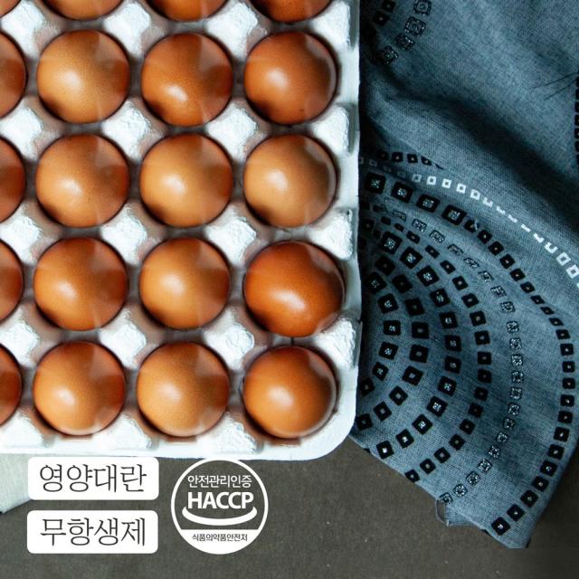 [훈민정과] 신선한 계란만 구워 촉촉하고 쫄깃한 무항생제 구운란, 60구, 2400g