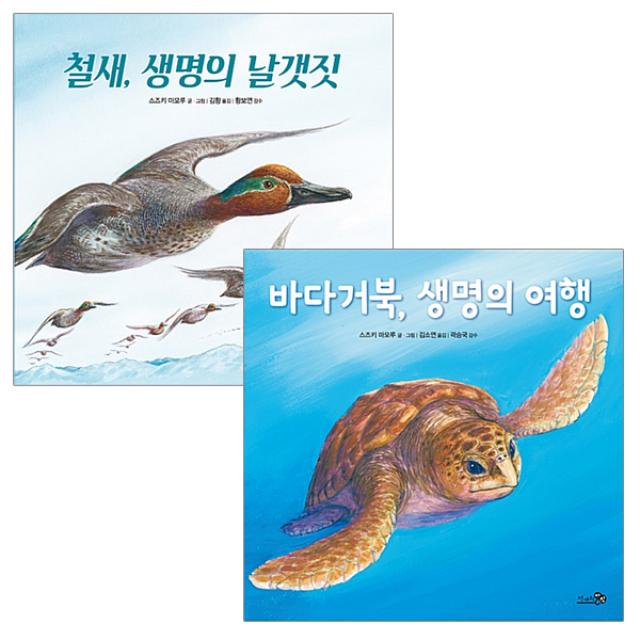 (천개의바람) 철새생명의 날갯짓+바다거북 생명의 여행 전2권, 단품