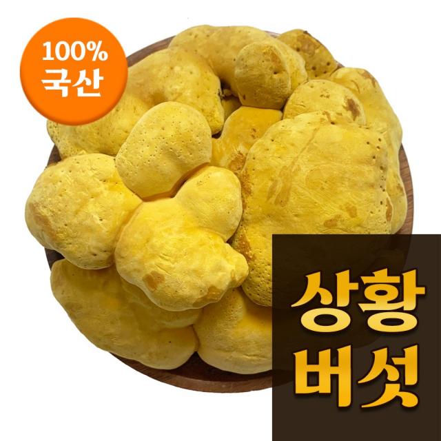 신영몰 상황버섯 150g 통/원형 국산 실속형, 1팩