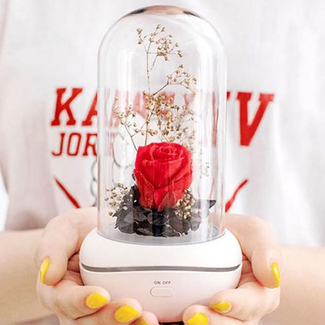나만의 디퓨저 장미 유리돔무드등 프리저브드 플라워 영생화 향훈등 선물 입학졸업 여친 생일 수능합격, 유리돔무드등 화이트로즈