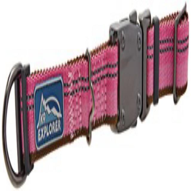 K9 Explorer Reflective Dog Collar Medium Rosebud K9 Explorer 반사적 인 개 목걸이 중간 로즈 버드, 1