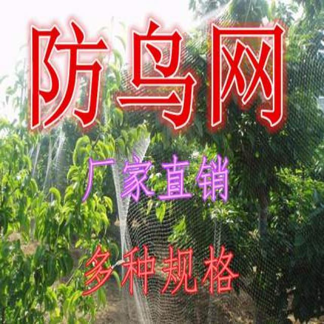 베란다 과수원 방지 포도나무 저지함 농토 방조망 막다 나일론, 30메터 와이드 한근