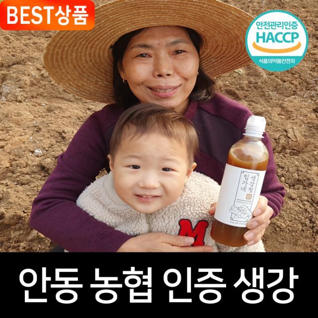 힘가네 생강청, 600g x 2병(10% 추가 할인)