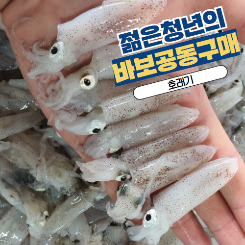 [바보공구] 달큰한 호래기 1kg (꼴뚜기)