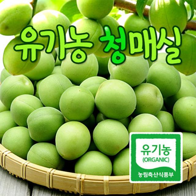 광양매실 유기농 왕특 청매실 5kg 10kg, 1box