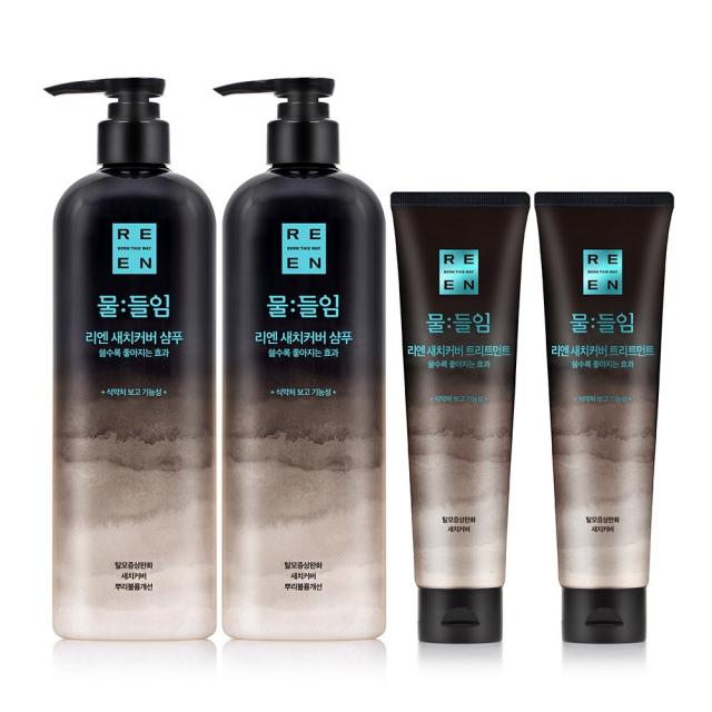 LG생활건강 리엔 물들임 새치커버 샴푸 450ml 2개 +새치커버 트리트먼트 150ml 2개, 단품