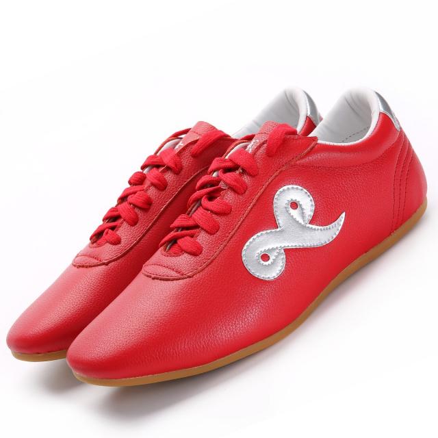 무사 용 태극화 쇠줄 밑 진피 무술화 남 태극권화 쿵후 신발 여름 태극 운동화 여