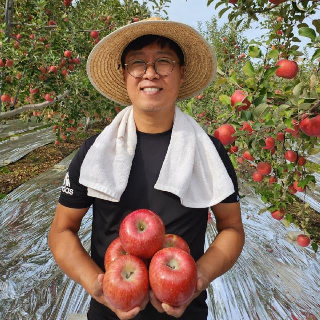 경북 안동 2022년 햇부사 사과 가정용 3kg/5kg/10kg[학가산 사과꽃필무렵]