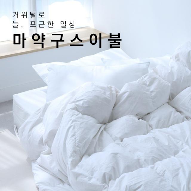 르올 마약 구스 이불 거위털 다운 여름 겨울 사계절 5성급 호텔, 한겨울용