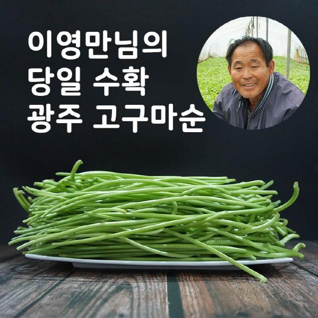 미스터팜팜 당일채취 이영만 생고구마순 고구마줄기 2kg 1개