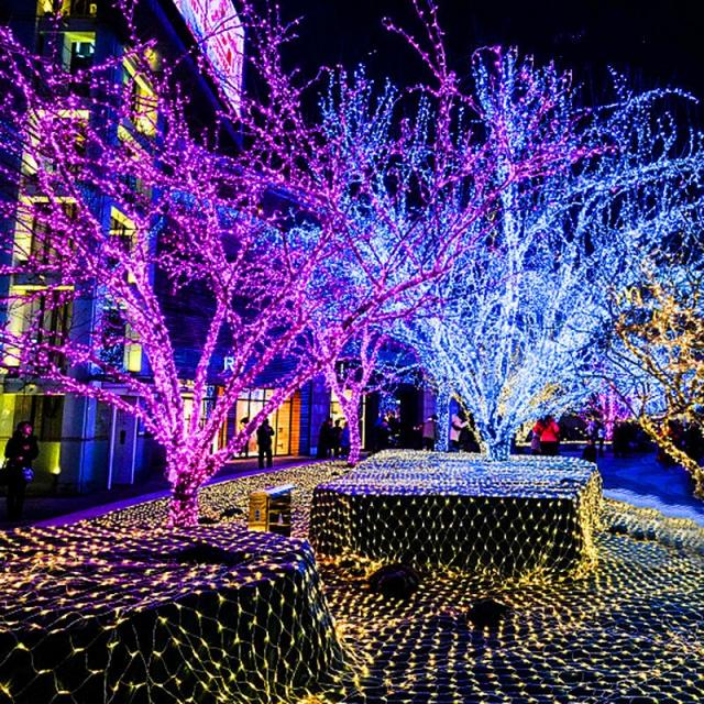 [경선 추천] LED 방수 공모접 색등 플래시 직렬등 하늘 별 야외 밝기 백화점 장식등 명절 크리스마스 등 항상 밝다 [흰색] 미터 등 공모접