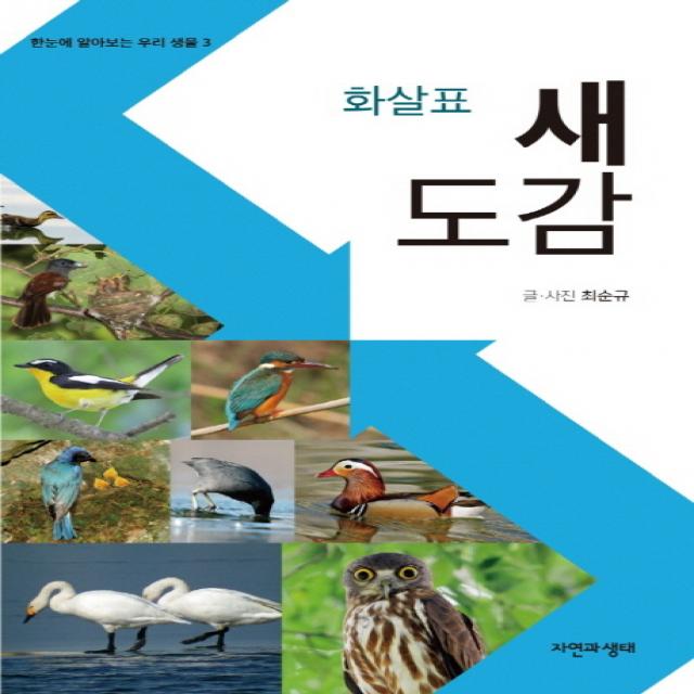 화살표 새 도감 자연과생태