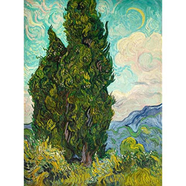 Cypus 1889 - Vincent van Gogh 유화 사본 - 프리미엄 갤러리 사진 포스터 (불공평) 추상 풍경 벽 아트 - 17x22 인치