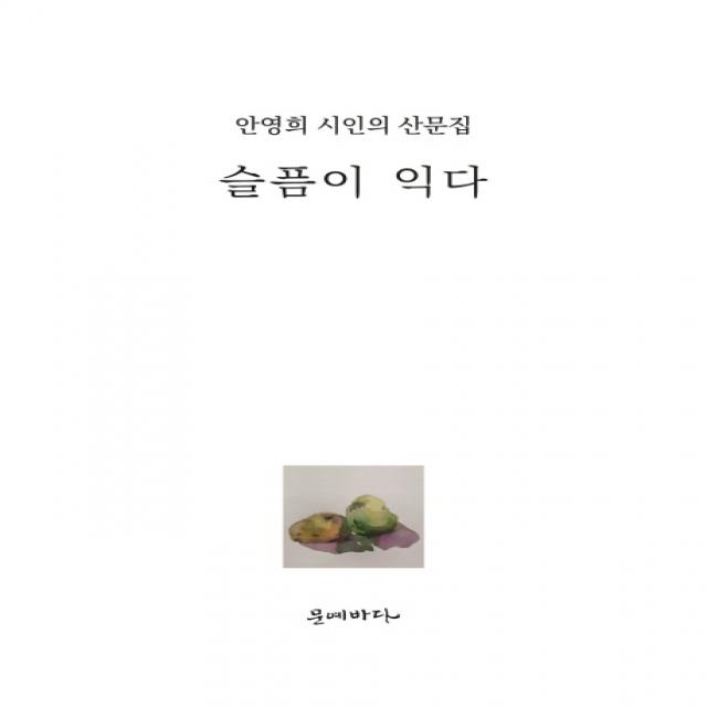 슬픔이 익다:안영희 시인의 산문집, 문예바다