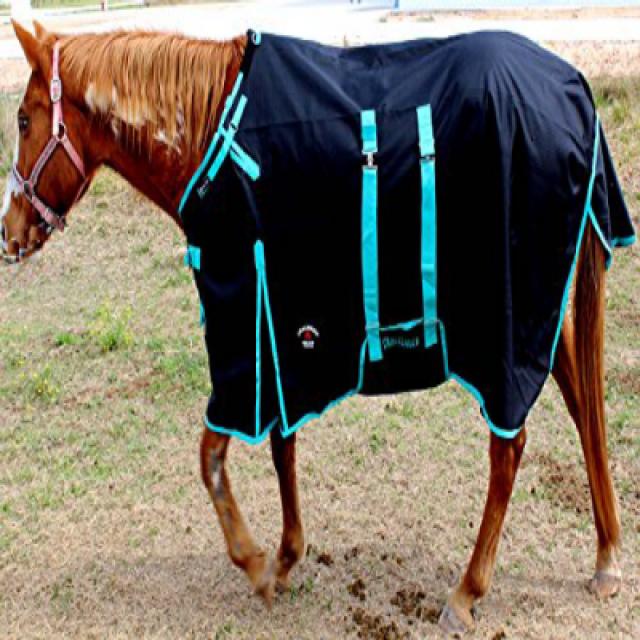 CHALLENGER 80” 1200D Turnout Rain Horse Sheet Light Winter Blanket 356B CHALLENGER 80 ”1200D 투표율 레인, 1