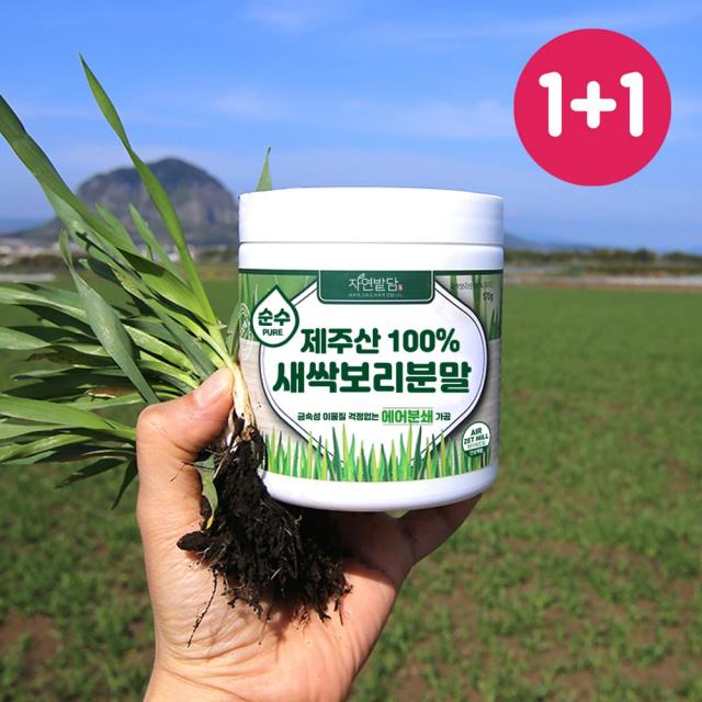 순수 제주 새싹보리 분말 1+1 340g 에어분쇄 친환경 무농약 저온건조 보리어린잎 자연밭담, 2개, 170g