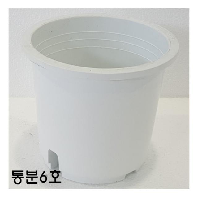 [짱짱마켓] 묶음판매 통분6호 50개 플라스틱화분 분갈이흙 모종