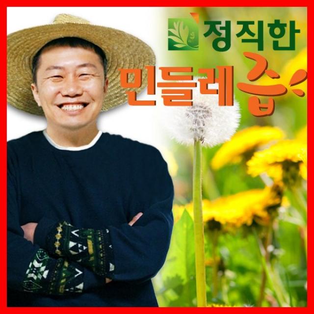 정직한건강즙 정직한 흰민들레즙 100% 국내산 흰민들레 사용 기타건강즙, 110ml, 30포