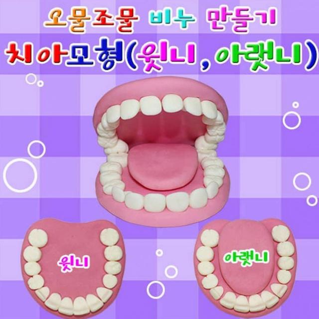 널리 향앤미과학 치아모형 윗니와 아랫니 - 3세트 비누 DIY 패키지