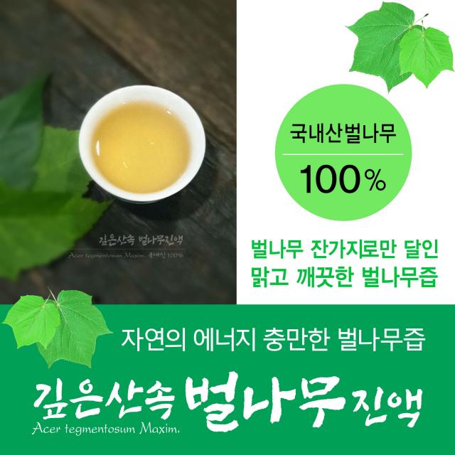 순순순 깊은산속 벌나무진액 자연산 벌나무효능 건강기획 60포 100ml