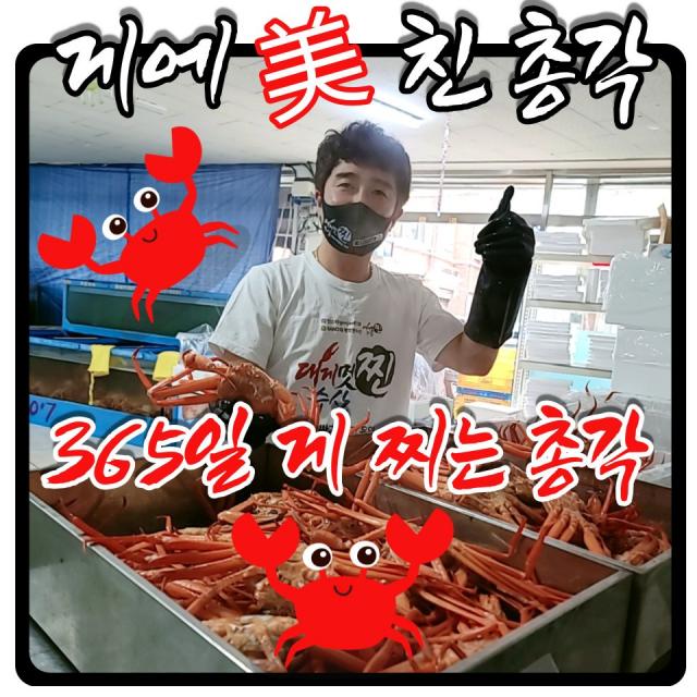  찐수산 단맛나는! 강원도 홍게 독점판매 업체! 고급 홍게찜 2kg 6 7마리 