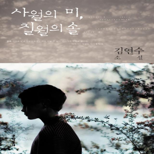 사월의 미 칠월의 솔:김연수 소설, 문학동네